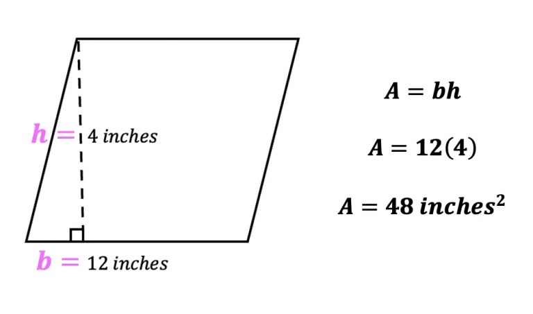 Parallelogram Base And Height