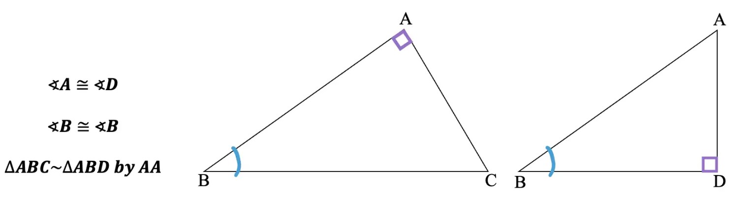 Legs of a Right Triangle (when an altitude is drawn) - Math Lessons