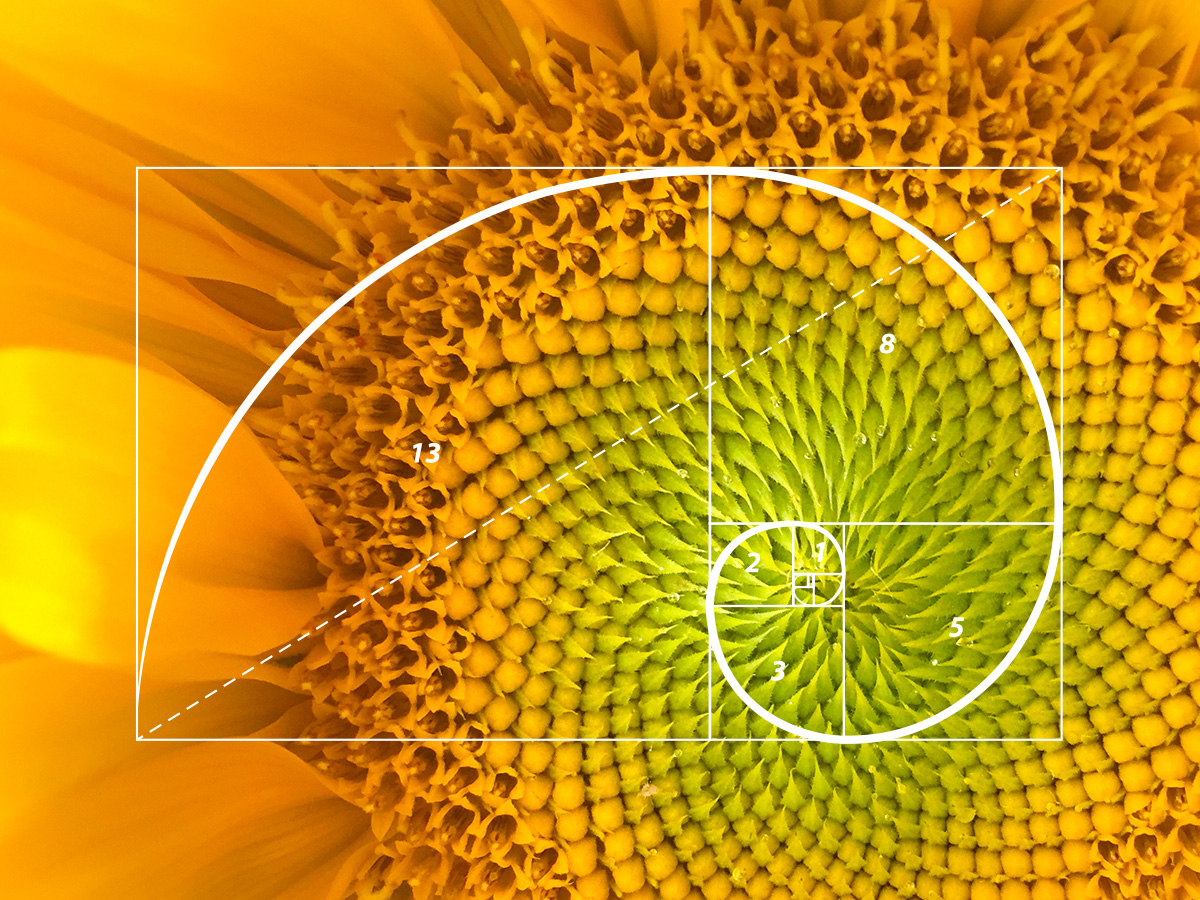 Fibonacci Sequence - Math Lessons
